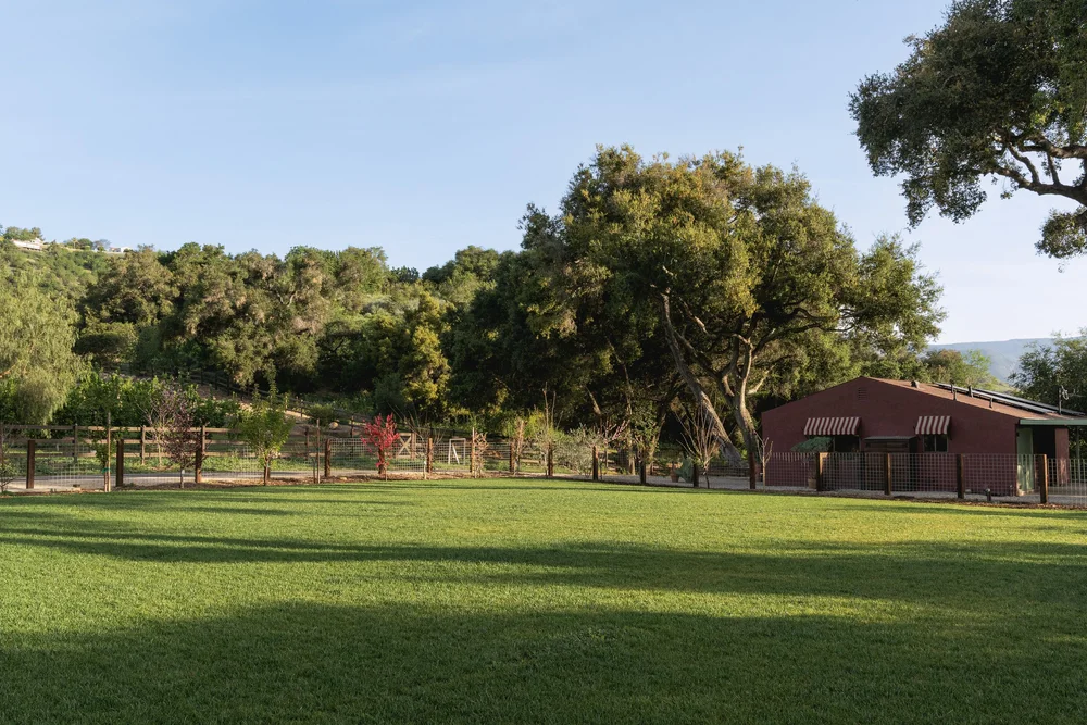 10802 Oak Knoll Road — photo 54