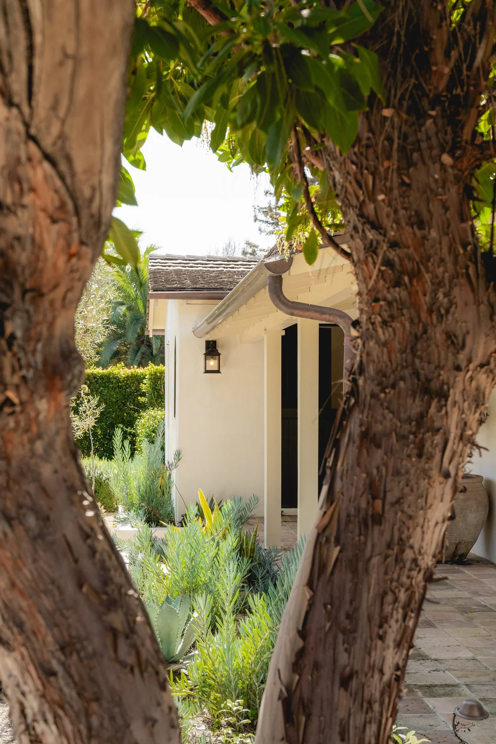 433 Paseo del Descanso — photo 8