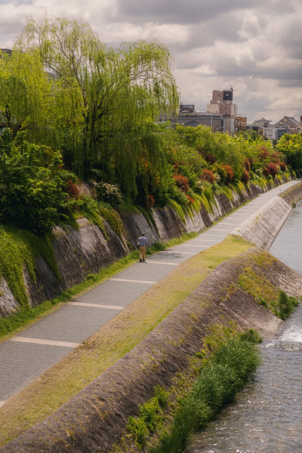 Japan — photo 15