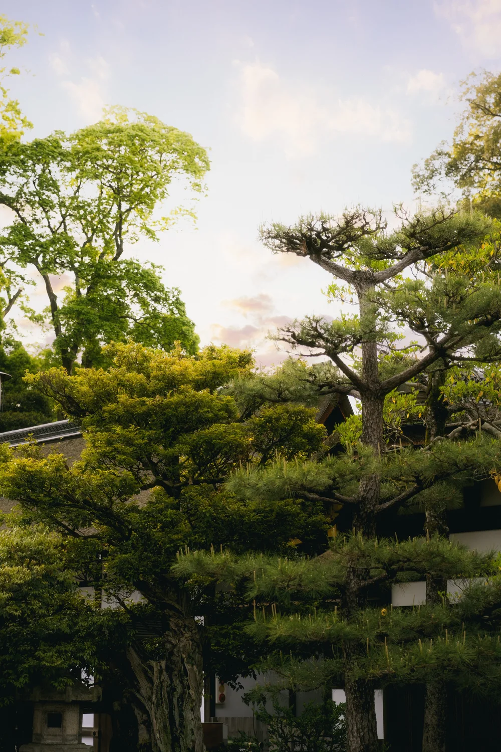 Japan — photo 48