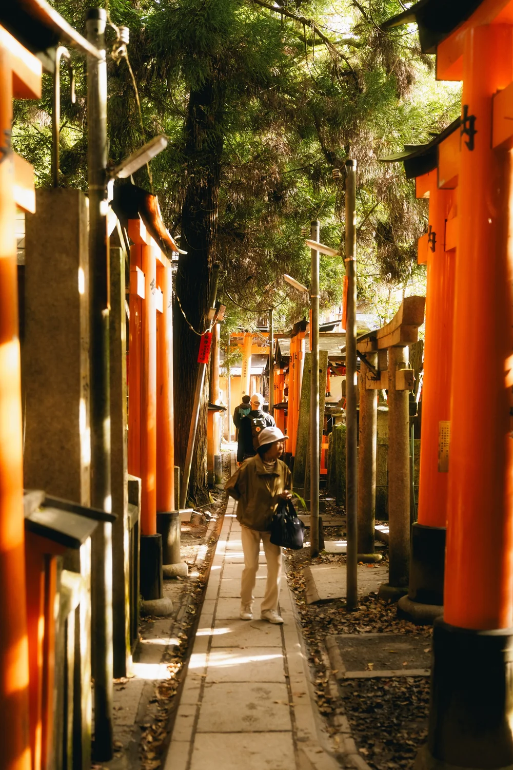 Japan — photo 52