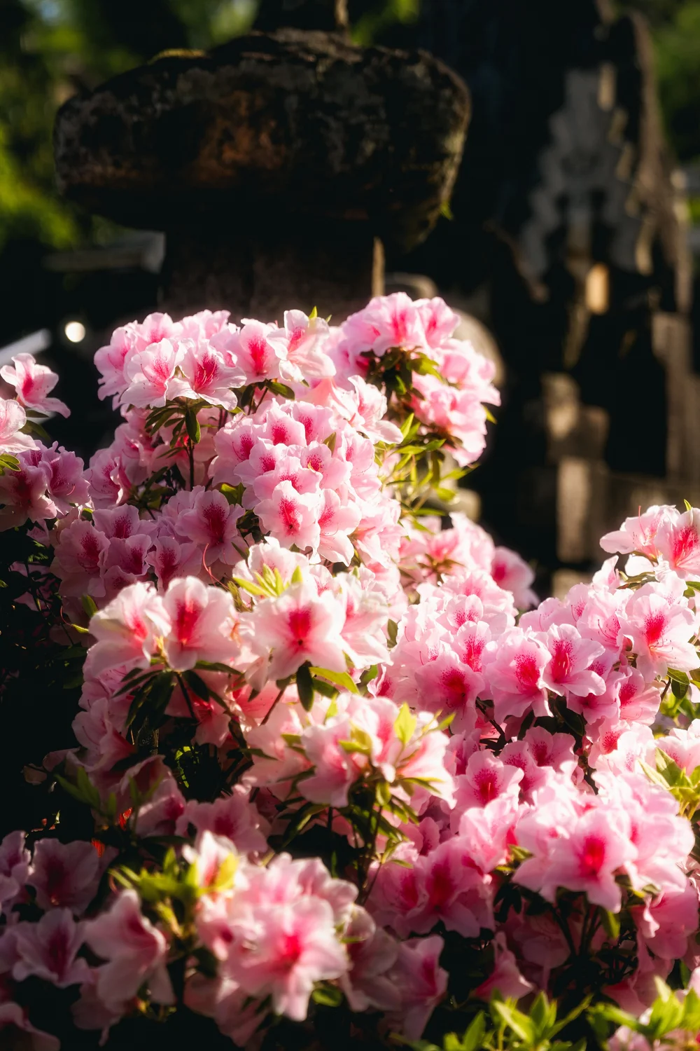 Japan — photo 61