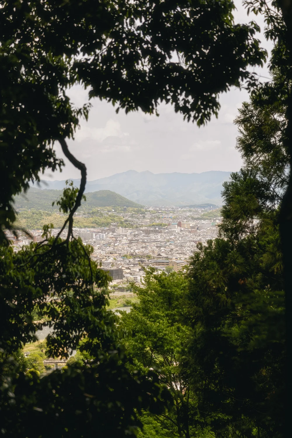 Japan — photo 80
