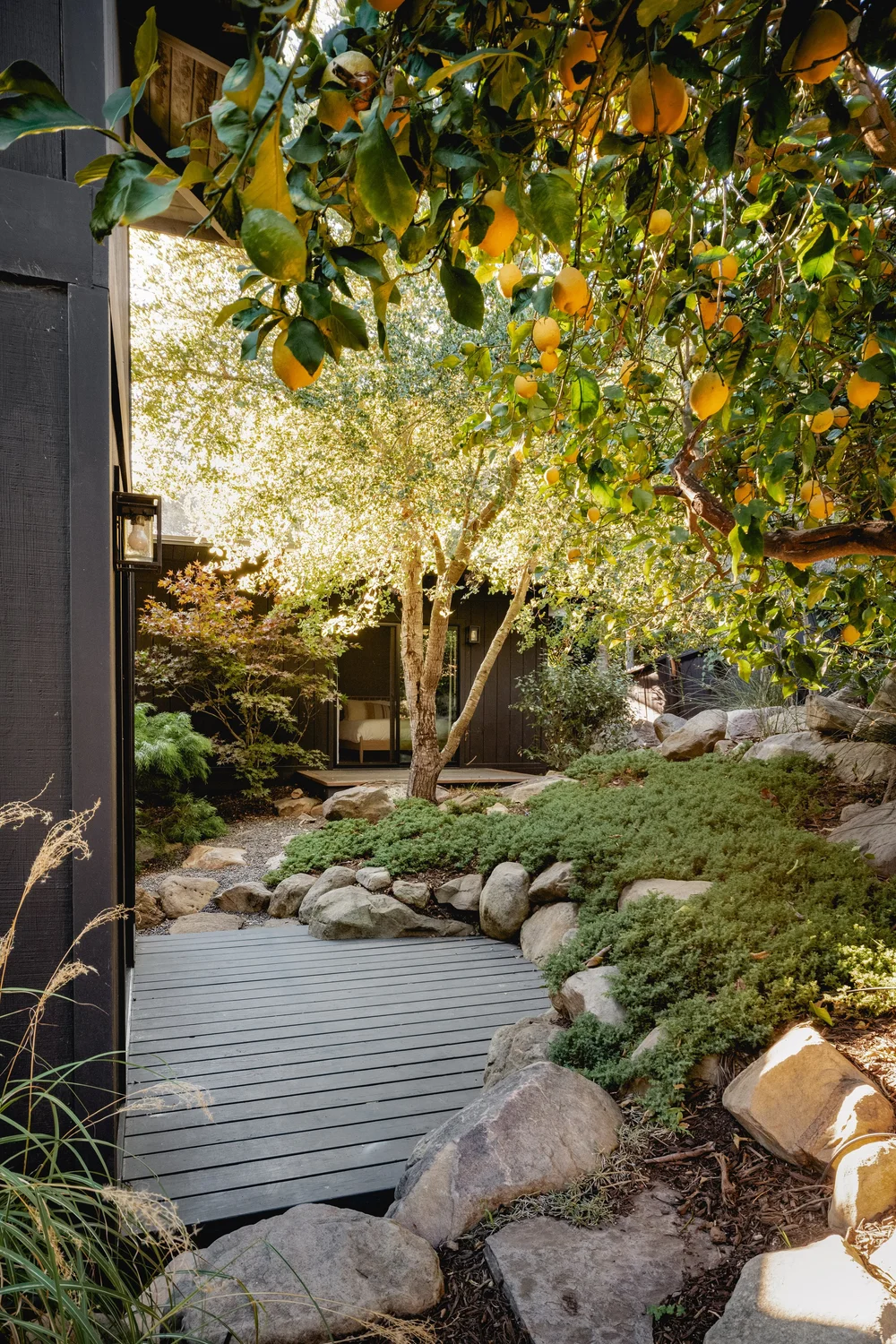 Ladera Lane — photo 48