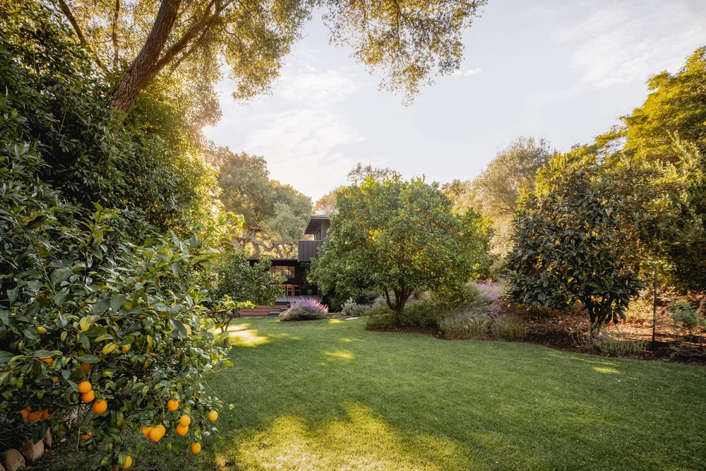 Ladera Lane — photo 49