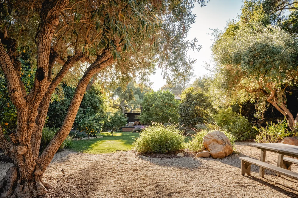Ladera Lane — photo 50